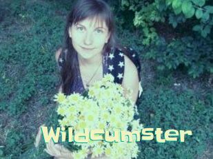 Wildcumster