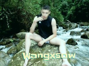wangxsow Wanna Meet