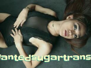 Wantedsugartrans