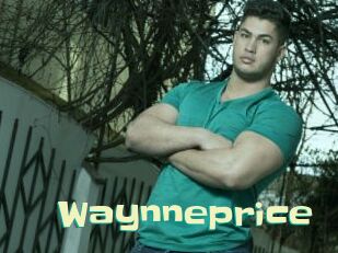 Waynneprice