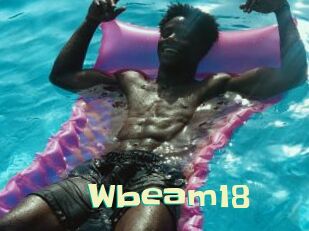 Wbeam18
