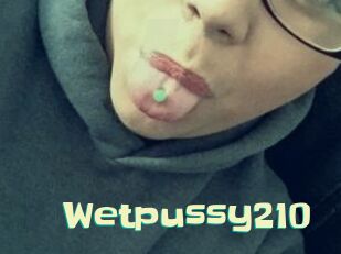 Wetpussy210