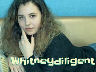 whitneydiligent Wanna Meet