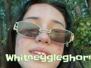 whitneygleghorn Wanna Meet