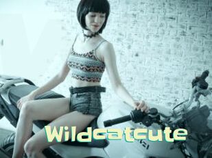 Wildcatcute