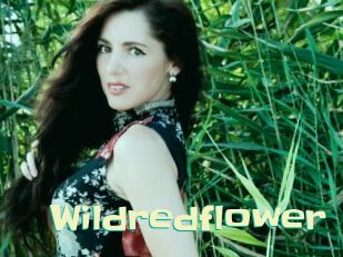 Wildredflower