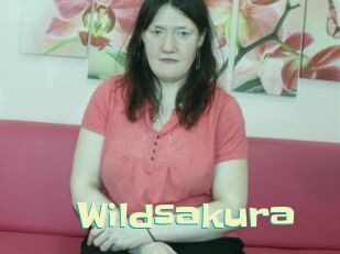 Wildsakura