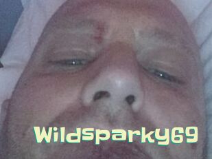 Wildsparky69