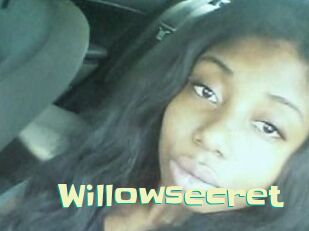 willow_secret Wanna Meet