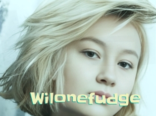 Wilonefudge