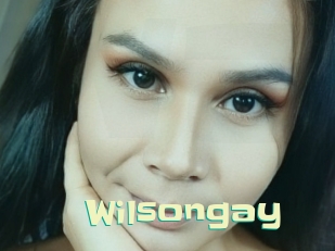 Wilsongay
