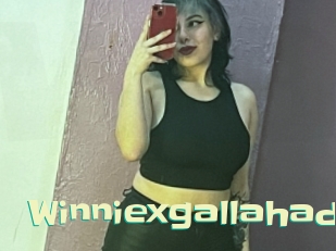Winniexgallahad