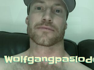 wolfgangpaslode Wanna Meet