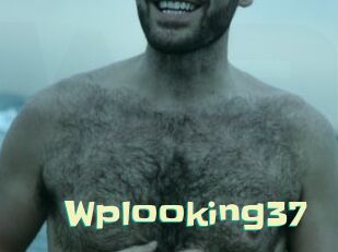 Wplooking37