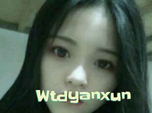 Wtdyanxun