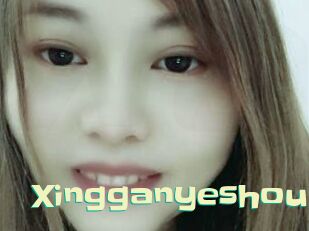 Xingganyeshou