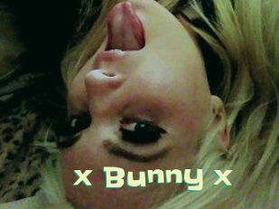 _x_Bunny_x_