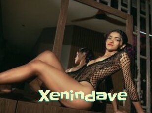 Xenindave
