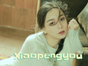 Xiaopengyou