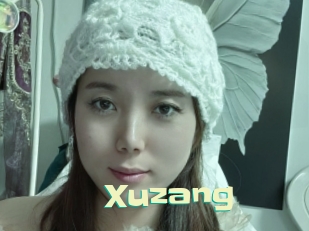 Xuzang
