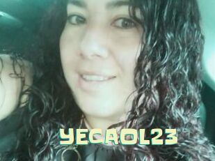 YECAOL23