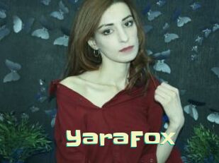 YaraFox Wanna Meet