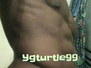 Ygturtle99