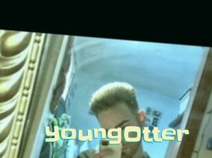 YoungOtter