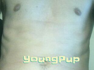 YoungPup