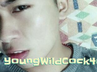 YoungWildCock4u