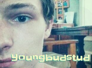 Youngbudstud