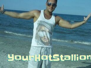 YourHotStallion