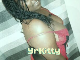YrKitty