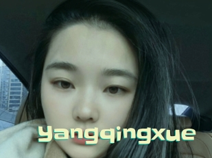 Yangqingxue