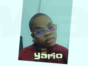 yario Wanna Meet