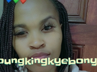 Youngkingkyebony