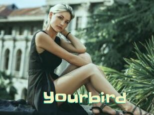 Yourbird
