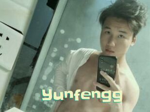 Yunfengg