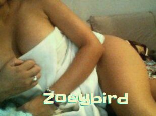 Zoeybird
