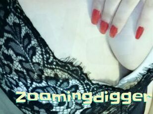 Zoomingdigger