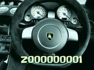 Z000000001