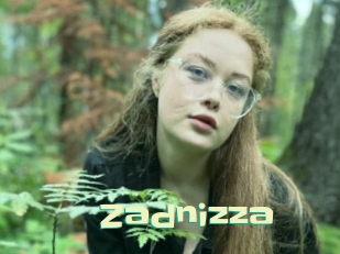 Zadnizza