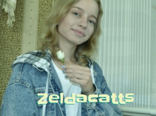 Zeldacatts