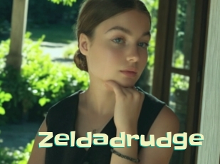 Zeldadrudge