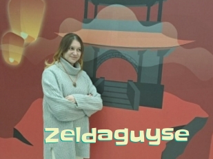 Zeldaguyse