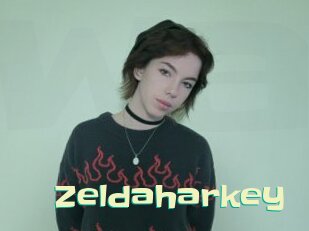 zeldaharkey Wanna Meet